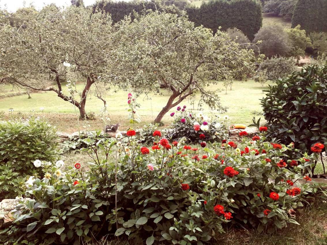 Paca Casa Rural. Arts And Landscape In Asturias Хихон Екстериор снимка