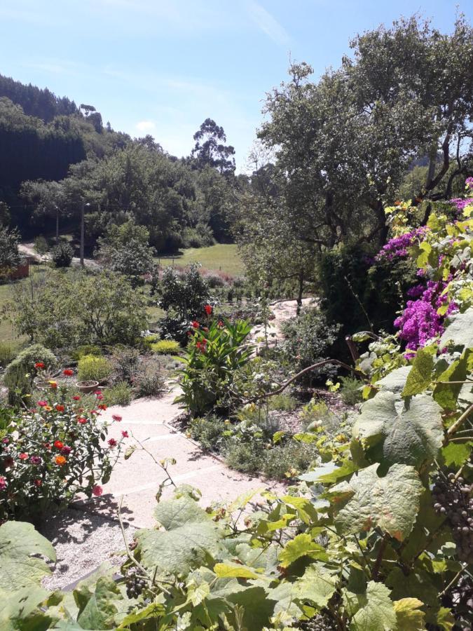 Paca Casa Rural. Arts And Landscape In Asturias Хихон Екстериор снимка