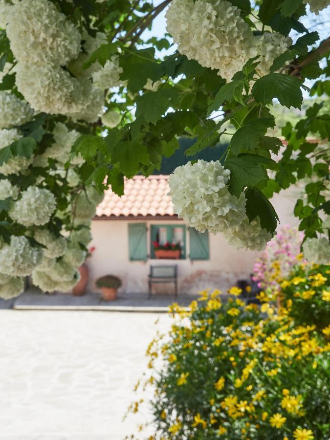 Paca Casa Rural. Arts And Landscape In Asturias Хихон Екстериор снимка