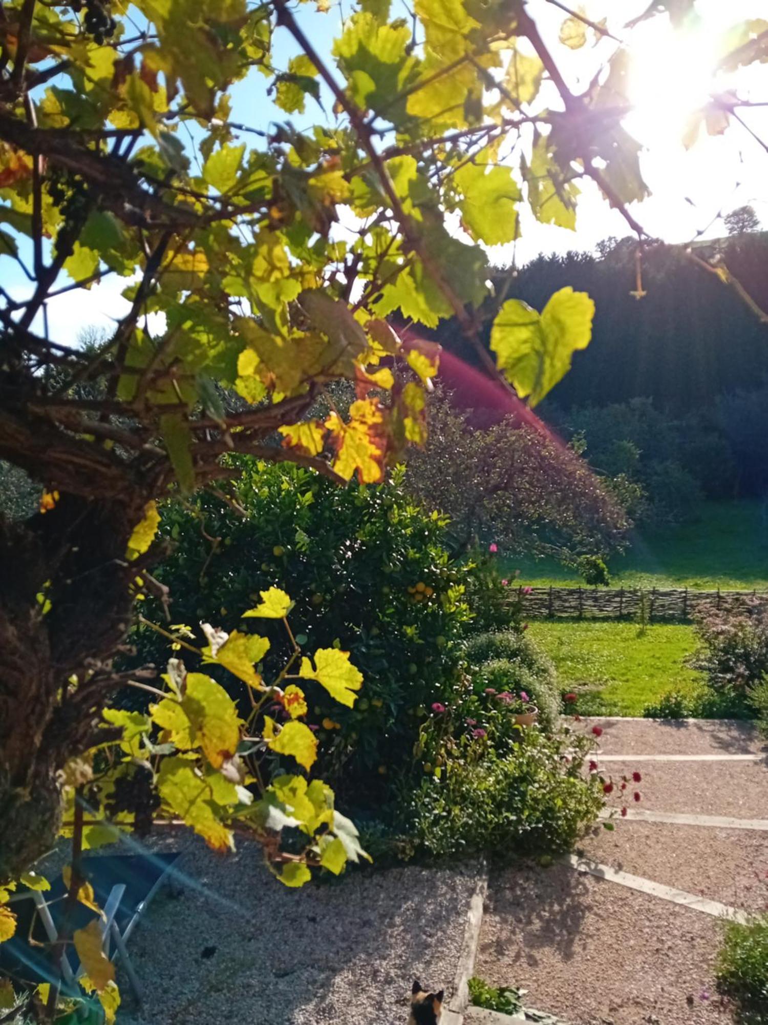 Paca Casa Rural. Arts And Landscape In Asturias Хихон Екстериор снимка