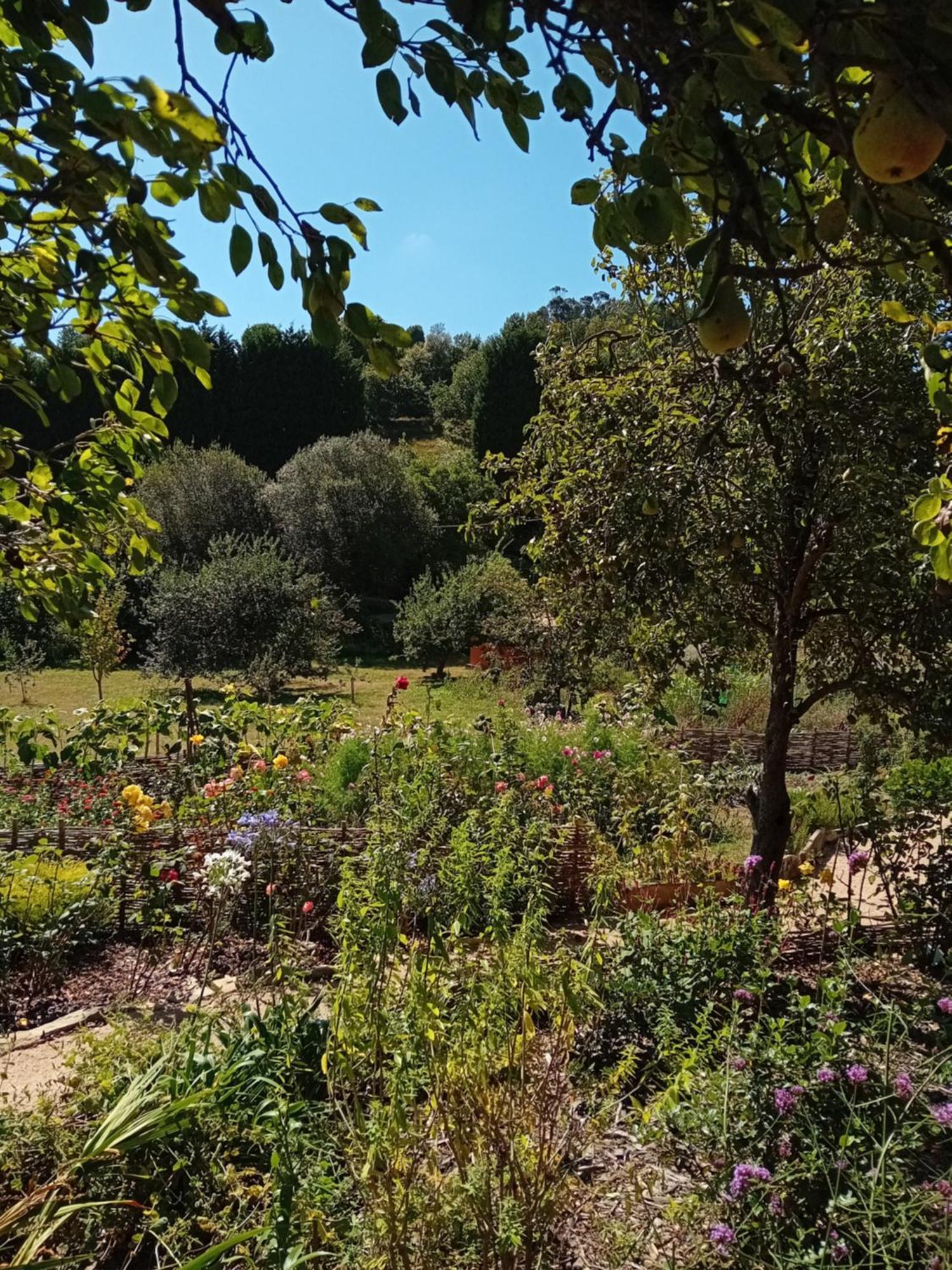 Paca Casa Rural. Arts And Landscape In Asturias Хихон Екстериор снимка