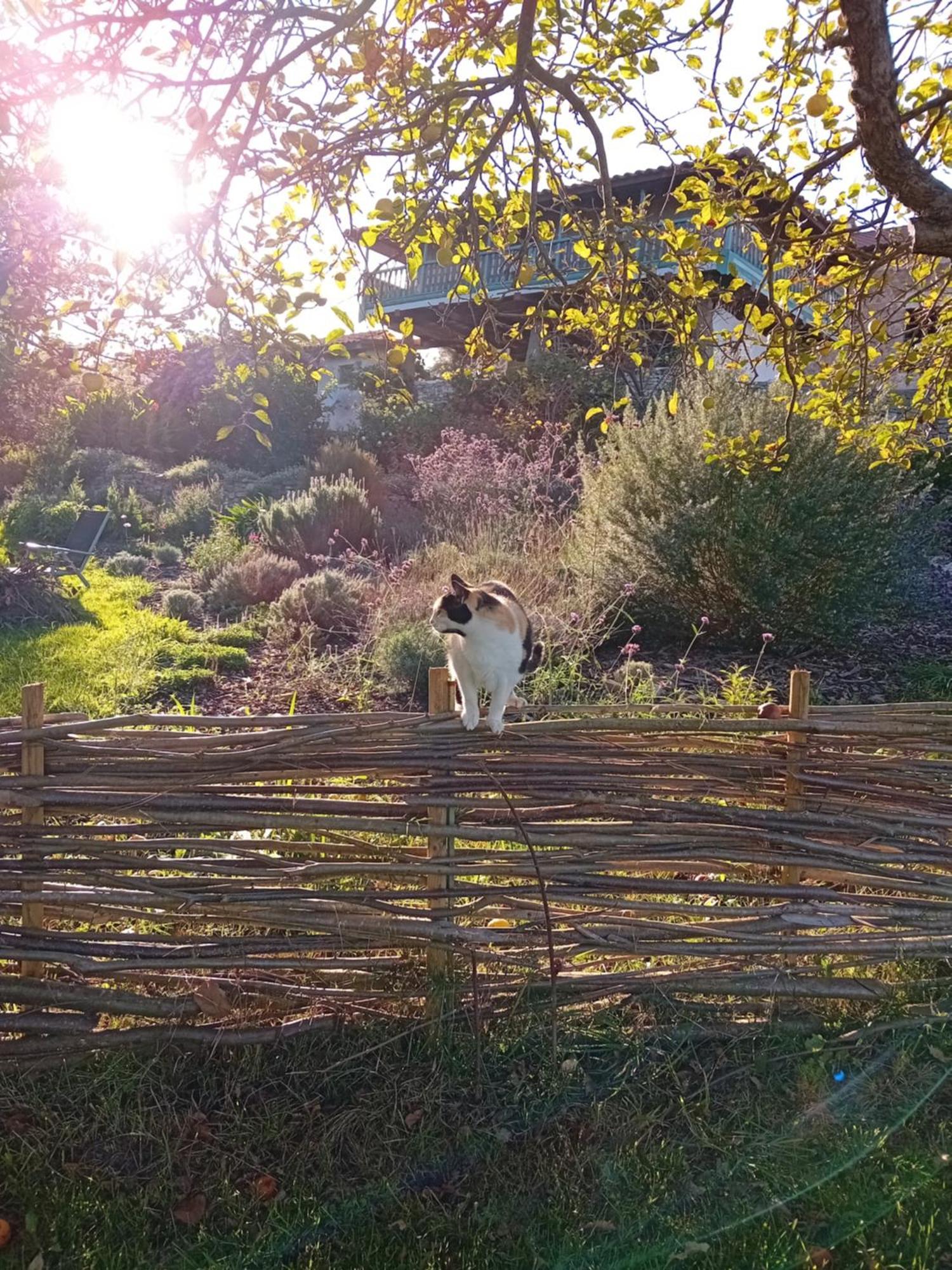 Paca Casa Rural. Arts And Landscape In Asturias Хихон Екстериор снимка
