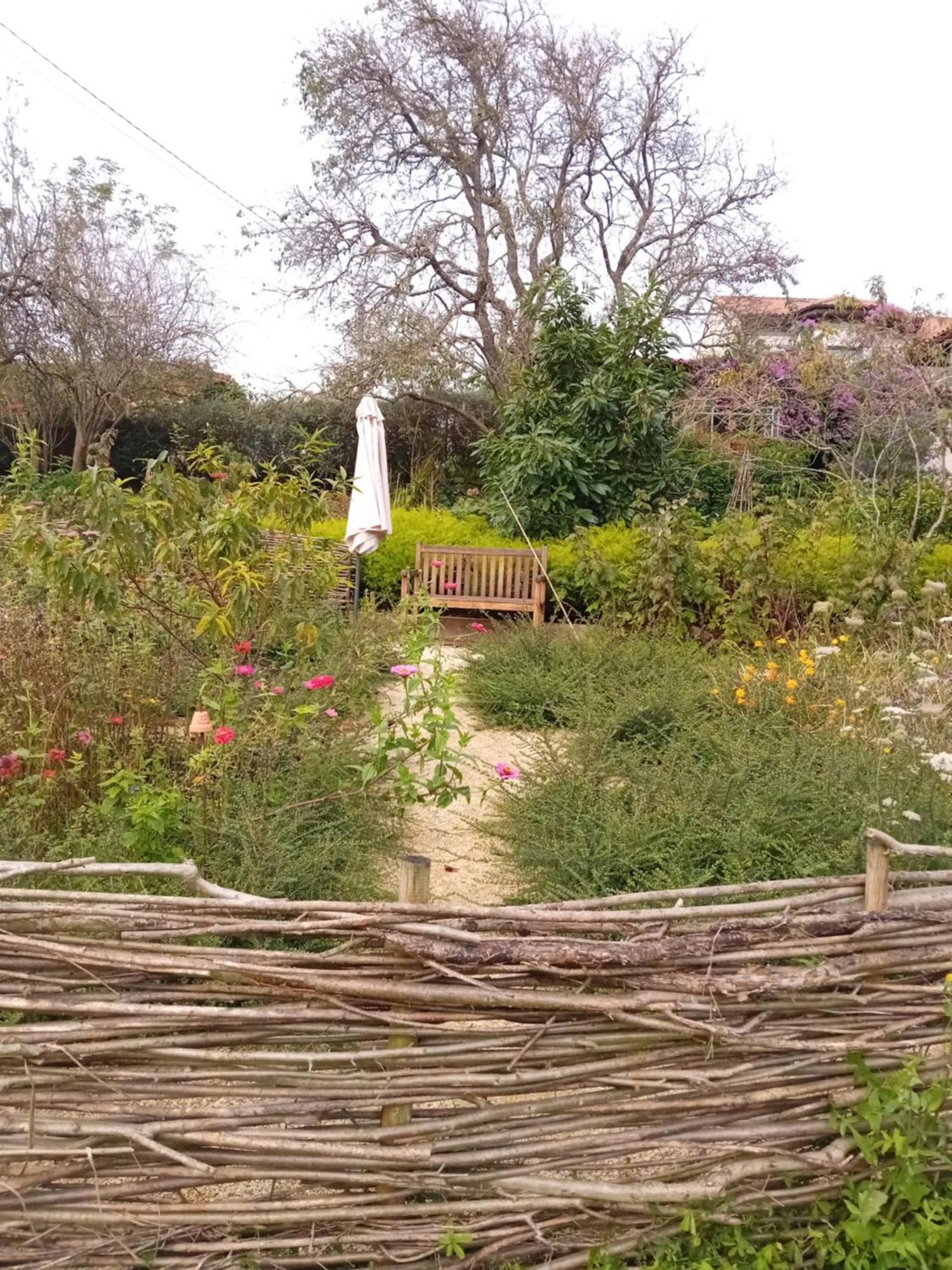 Paca Casa Rural. Arts And Landscape In Asturias Хихон Екстериор снимка